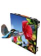 A7.png